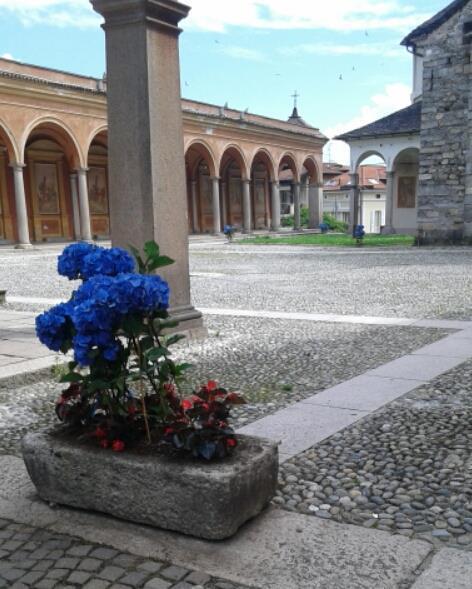 Hotel Elvezia Lake Maggiore Екстер'єр фото